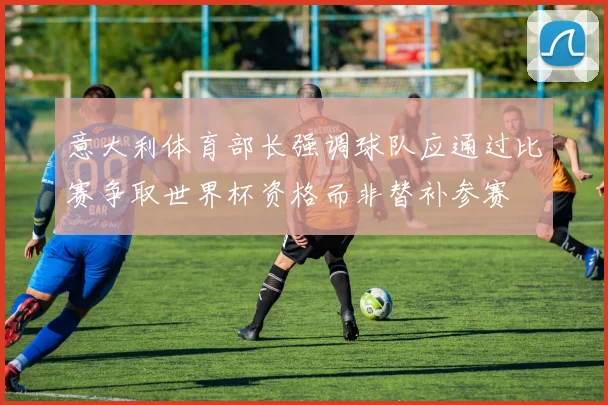 意大利体育部长强调球队应通过比赛争取世界杯资格而非替补参赛