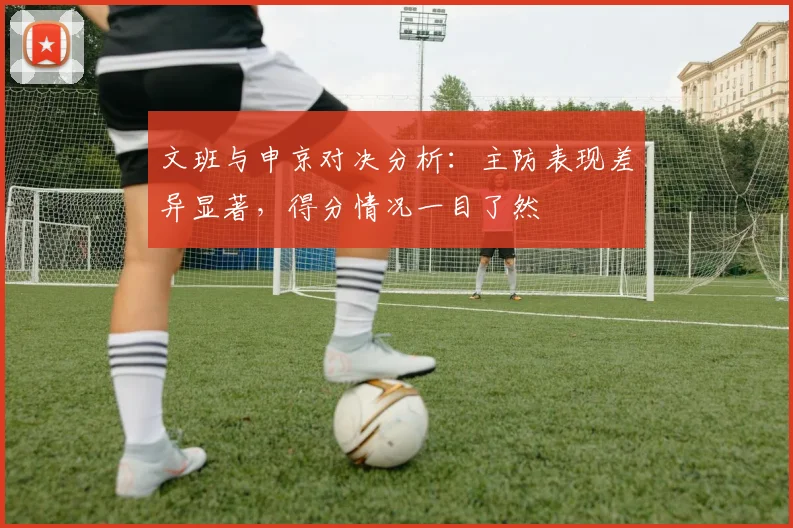 文班与申京对决分析：主防表现差异显著，得分情况一目了然
